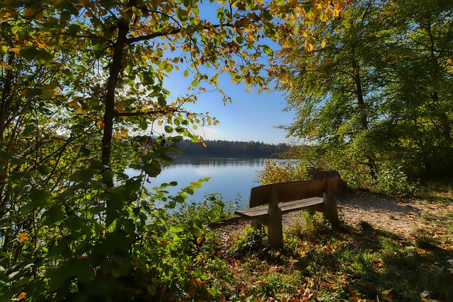 运动本身的 运动本身的