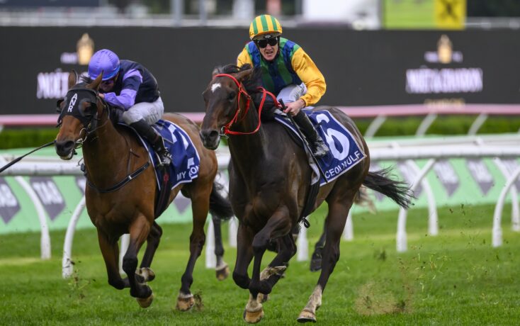 曼联的表现 曼联的表现